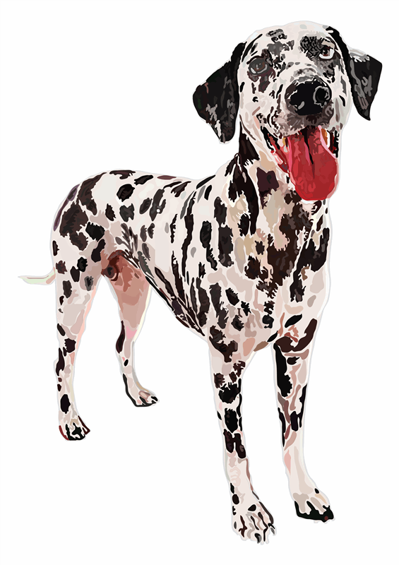 PicShow